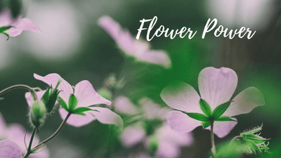 The Power Of Flowers And Petals
