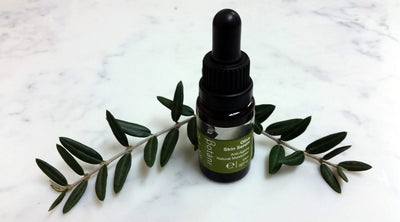 Why Olive Skin Serum Is One Of The Best Natural Serums