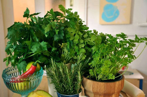 Benefits Of Mediterranean Diet