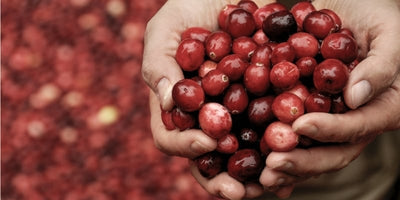 6 Skin Benefits Of Cranberry Seed Oil