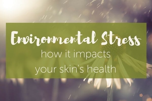 Winter Skin Care Tips