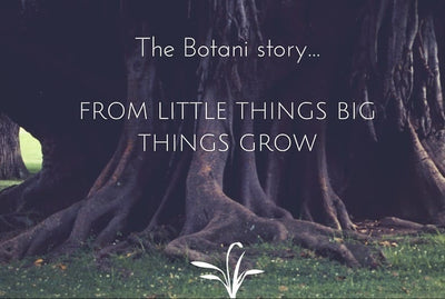 Botani's Story:  From Little Things Big Things Grow