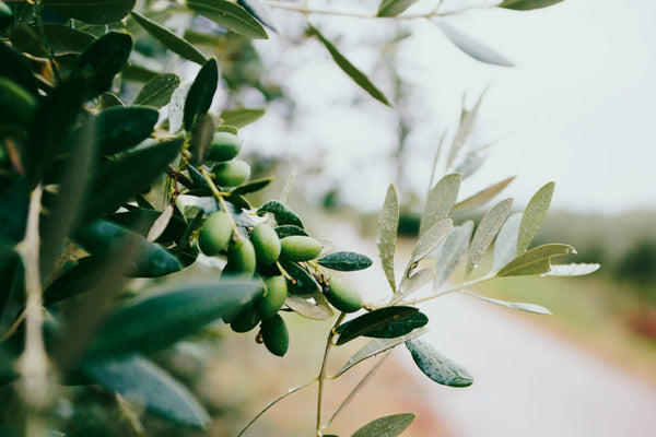 Botani Loves Natural Ingredients