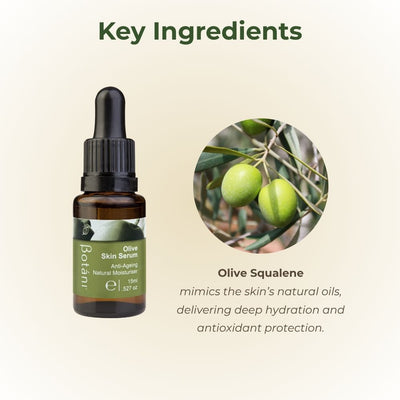 Olive Skin Serum key ingredient olive squalene