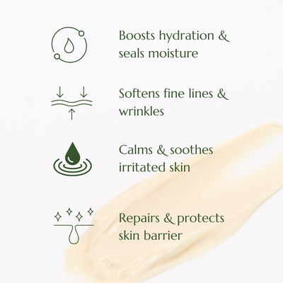 Olive Repair Cream Natural Moisturiser Skin Benefits