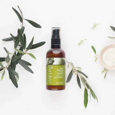 OLIVE SOOTHING CREAM CLEANSER surrounded by olive leaves